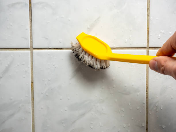 Best Residential Mold Removal  in St Lawrence, PA