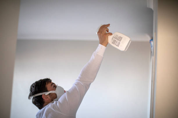 Best Mold Remediation  in St Lawrence, PA