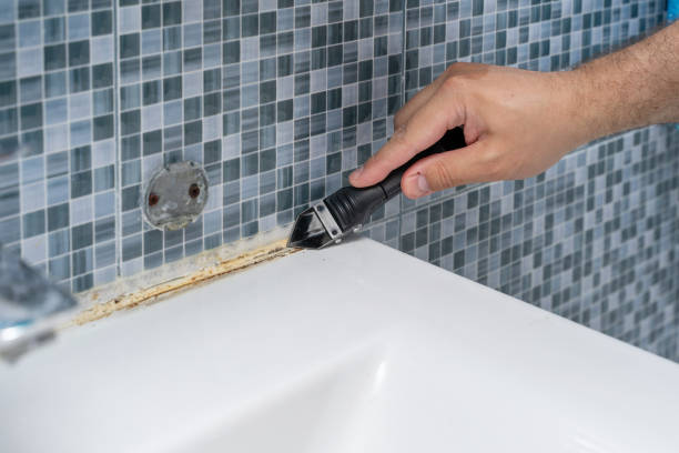 Best Attic Mold Removal  in St Lawrence, PA