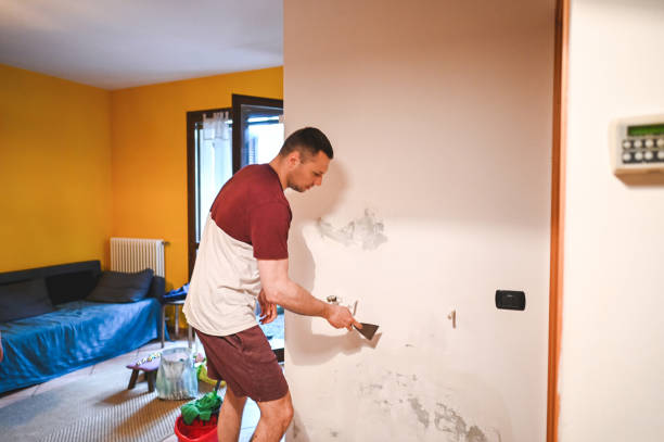 Best Office Mold Removal Services  in St Lawrence, PA